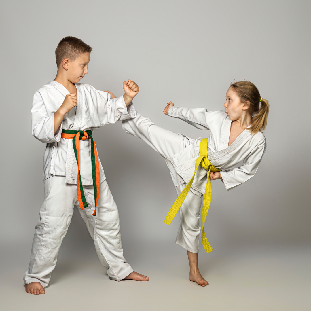 Jiu jitsu / grappling